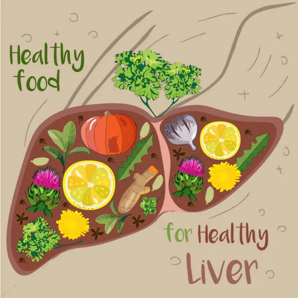 7种逆转脂肪肝的食物 保持肝脏健康的8个好习惯