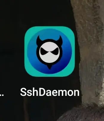 SshDaemon在桌面上的图标