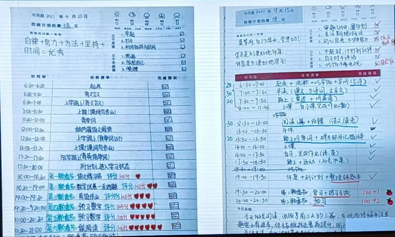 学习计划表1